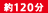 約120分 約120分
