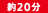 約20分 約20分