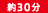 約30分 約30分