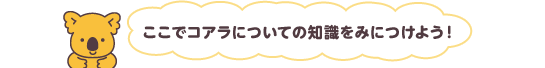 ここでコアラについての知識をみにつけよう!