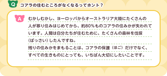 Q:コアラの住むところがなくなるって本当ですか? A:昔、ヨーロッパからオーストラリア大陸に多くの人が移り住みはじめて以来、約80%のコアラの住みかが失われました。
人間が住むために多くの森林を伐採したのですね。
残りの住みかを守ることは、コアラの保護だけではなく、
すべての生き物にとって一番大切な方法です。