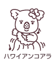 ハワイアンコアラ