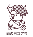 雨の日コアラ
