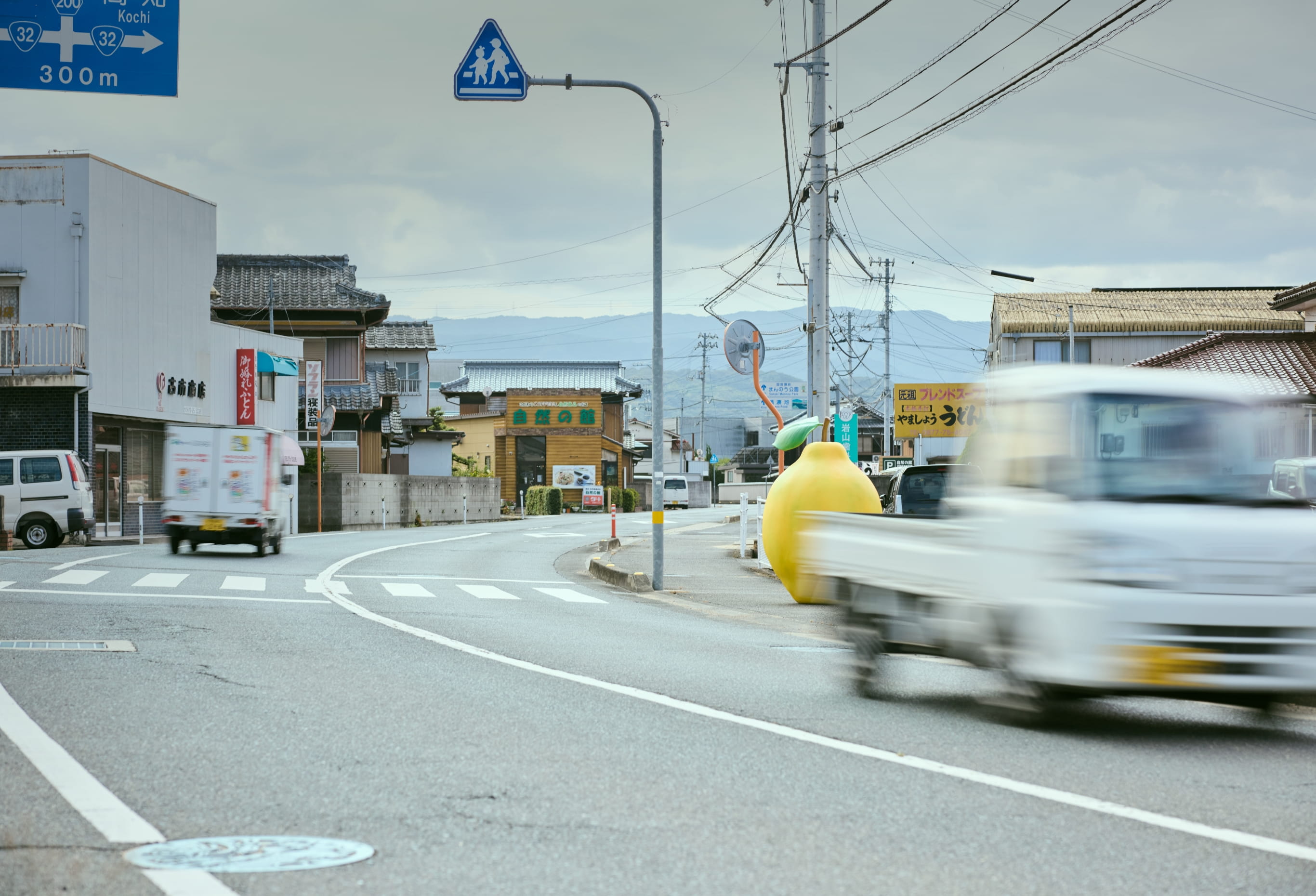 今日からあなたもカリンが大好き