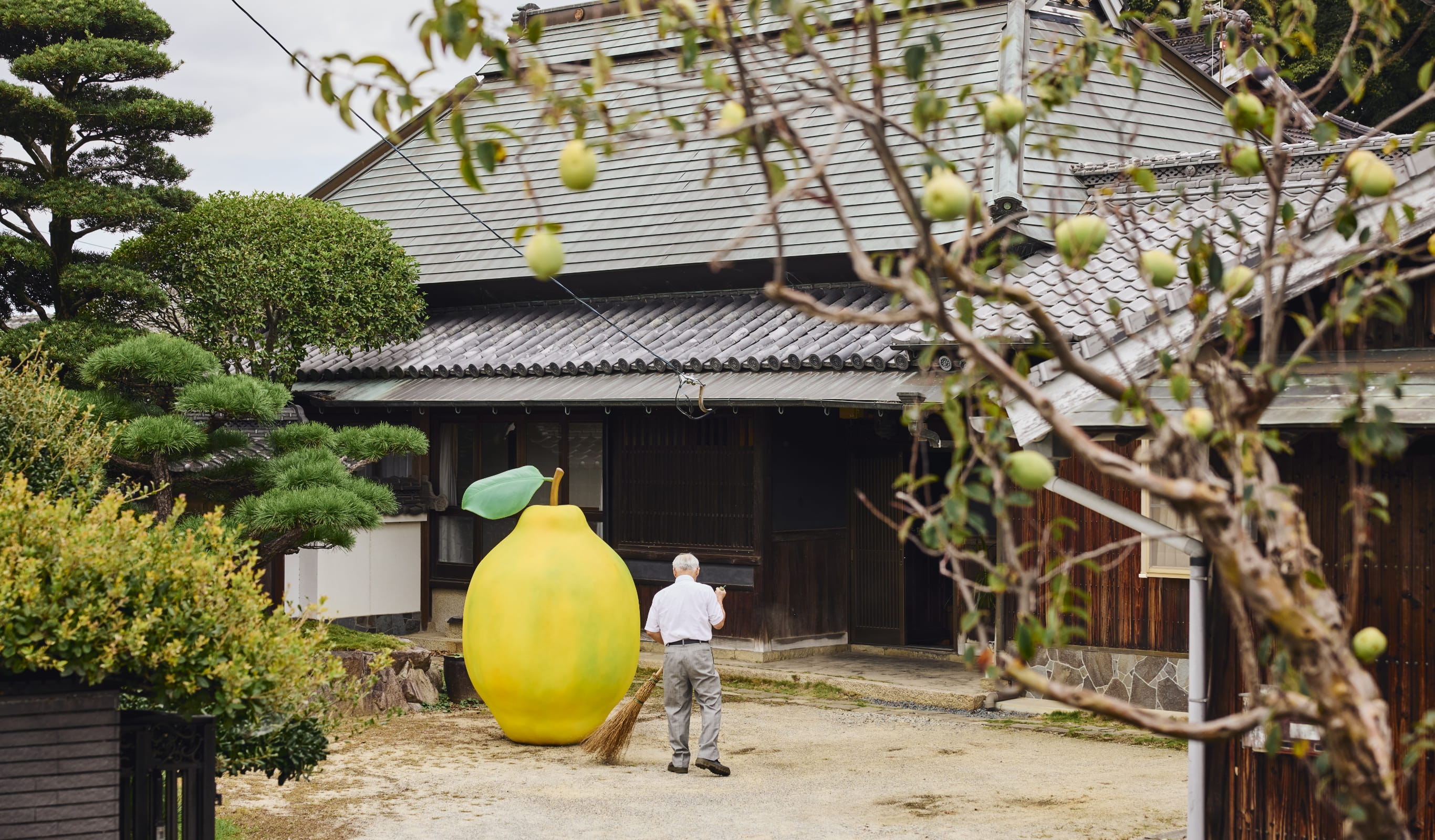 カリン大百科