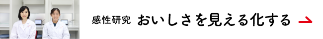 感性研究　おいしさを見える化する