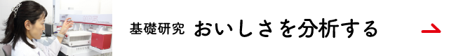 基礎研究　おいしさを分析する