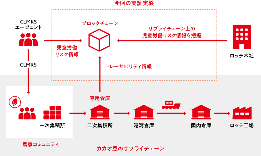 実証実験