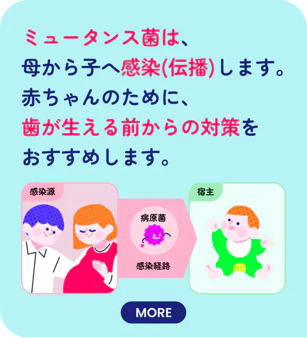 ミュータンス菌は、母から子へ感染（伝播）します。赤ちゃんのために、歯が生える前からの対策をおすすめします。
