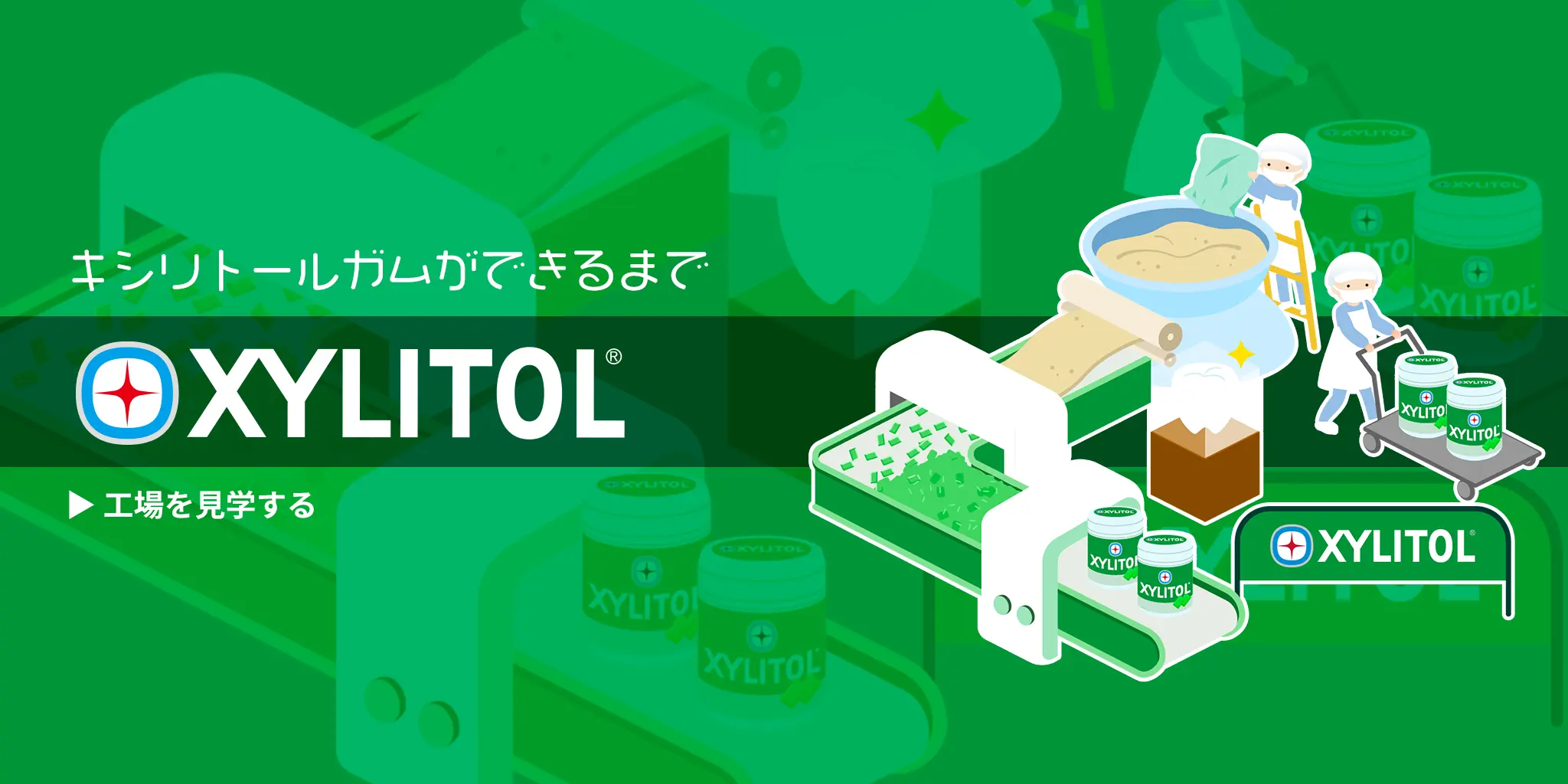 キシリトールガムができるまで XYLITOL 工場を見学する