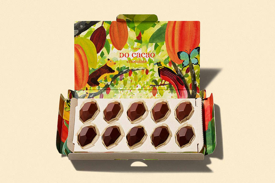 完成まで7年！ 「DO Cacao Project」から新ブランド「DO Cacao chocolate」を発売！