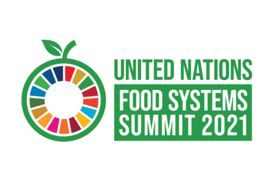 国連食料システムサミットを支持！ SDGs達成とよりよい社会を目指して