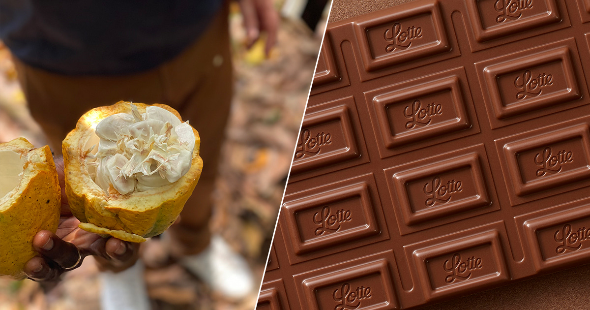 カカオの可能性は無限大 研究者もハマるチョコレートづくり Shall We Lotte お口の恋人 ロッテ