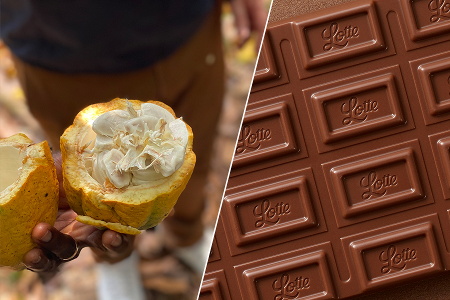 カカオの可能性は無限大！ 研究者もハマるチョコレートづくり