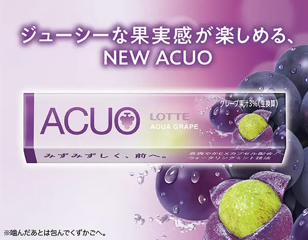 お口の恋人 ロッテ