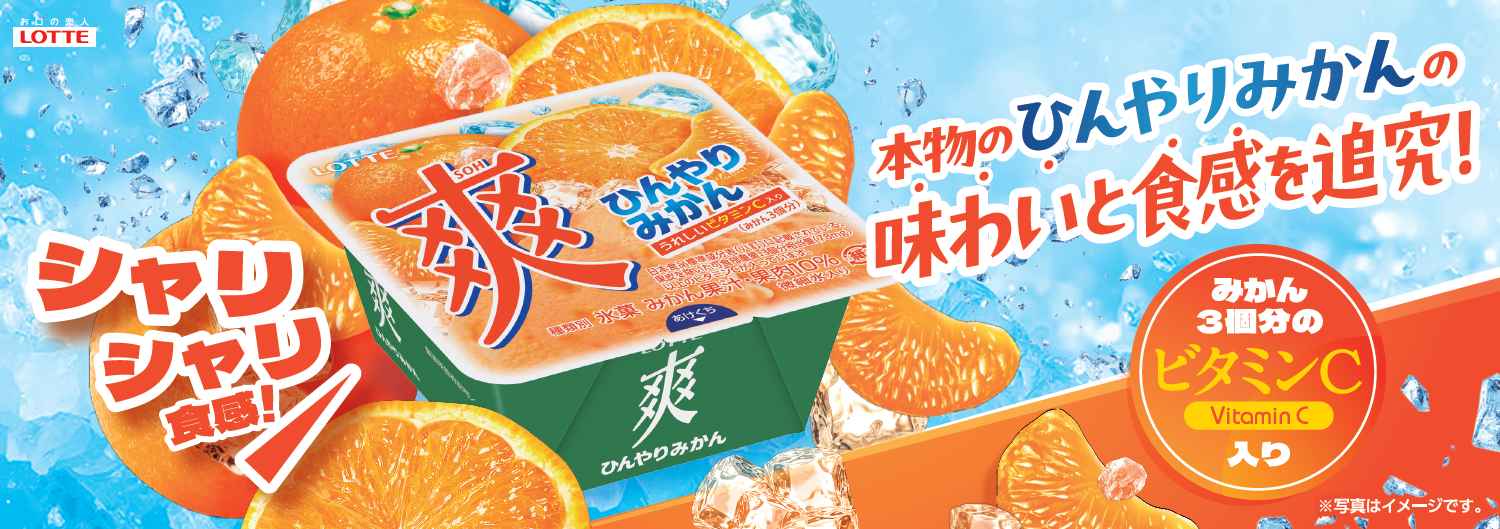 夏に無性に食べたくなる！あの、シャリシャリ食感を追究「爽 ひんやり