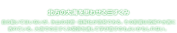 北方の大海を思わせる三すくみ 自ら動いてはいないが、氷山の分断・溶解化が活発である。その影響は気候や水害に表れている。大海での三すくみ関係を通して学び直すのもよいかもしれない。