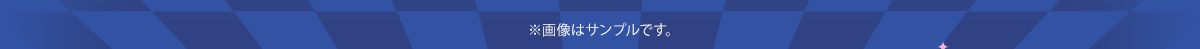 ※画像はサンプルです。