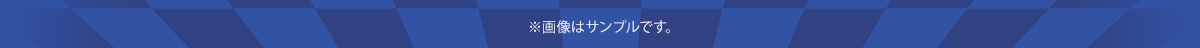 ※画像はサンプルです。