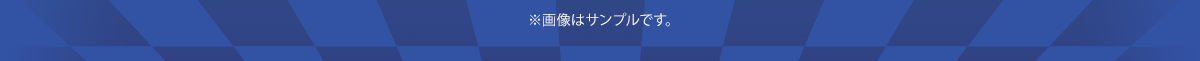 ※画像はサンプルです。