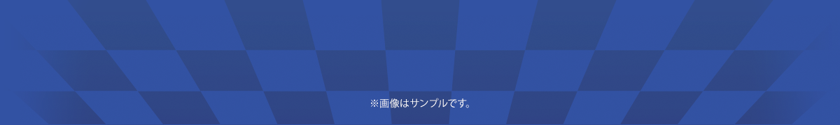 ※画像はサンプルです。