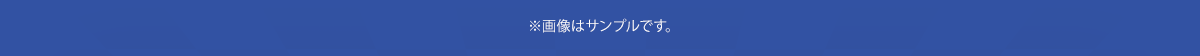 ※画像はサンプルです。