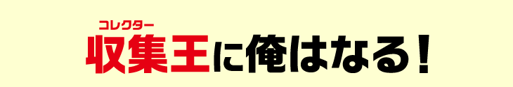 収集王に俺はなる！