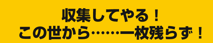 収集してやる！この世から……一枚残らず！