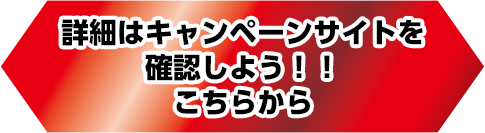 詳細はキャンペーンサイトを確認しよう！！こちらから