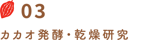 カカオ発酵・乾燥研究