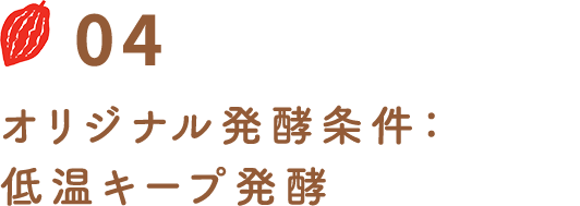 オリジナル発酵条件：低温キープ発酵