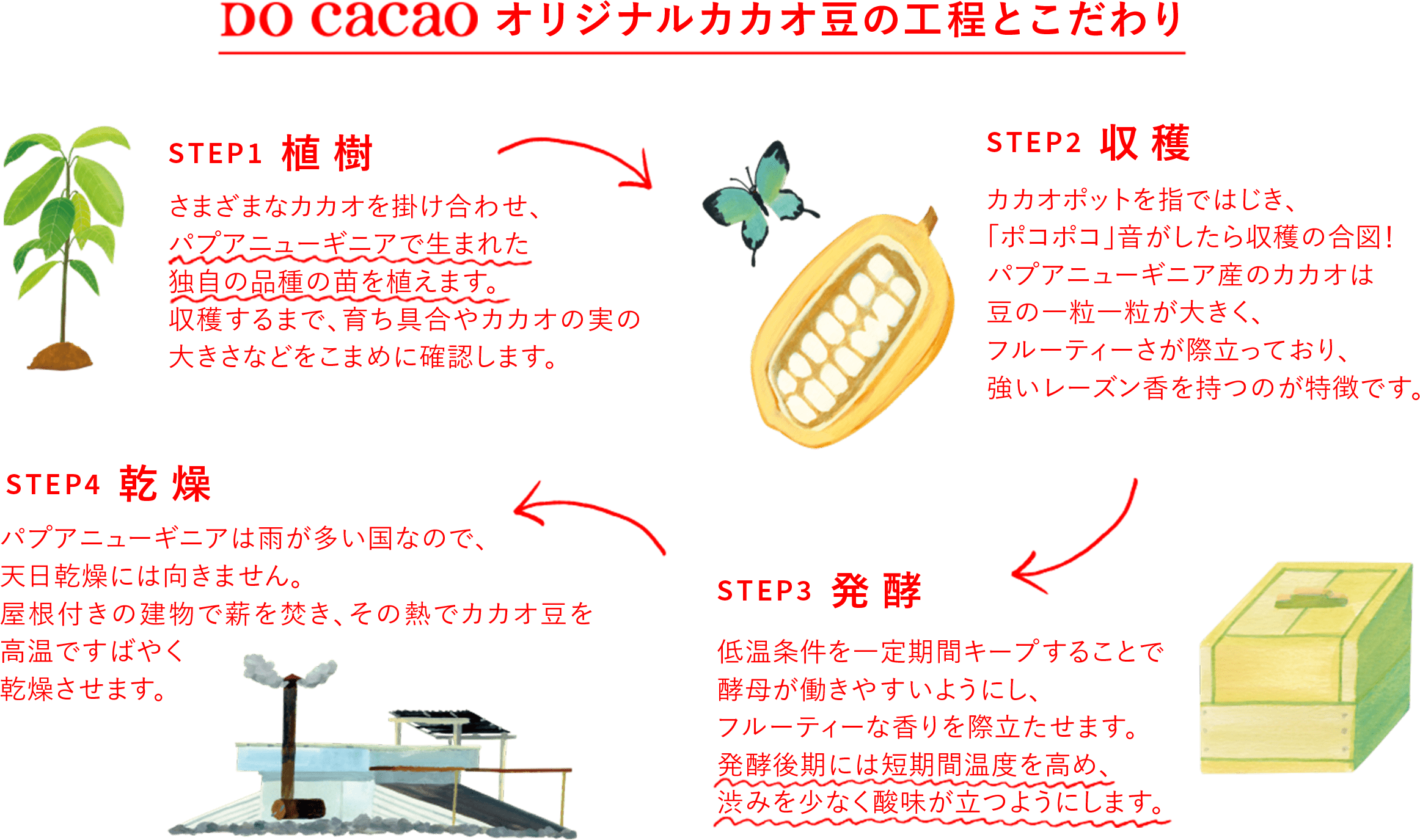 DO Cacao オリジナルカカオ豆の工程とこだわり