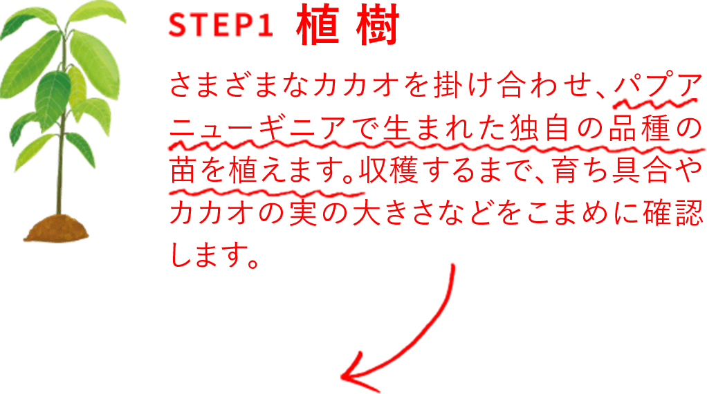 step1 植樹