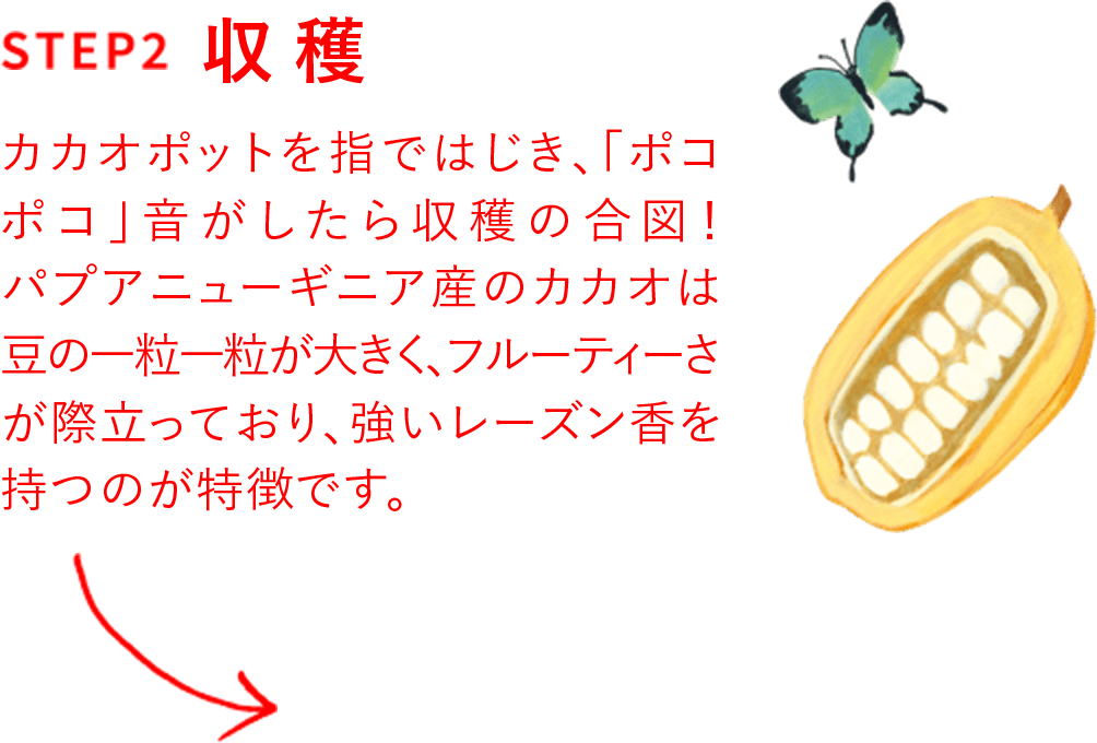 step2 収穫