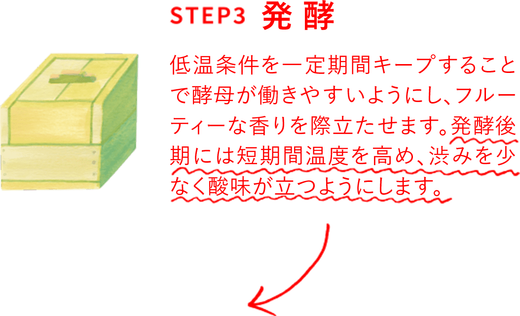 step3 発酵