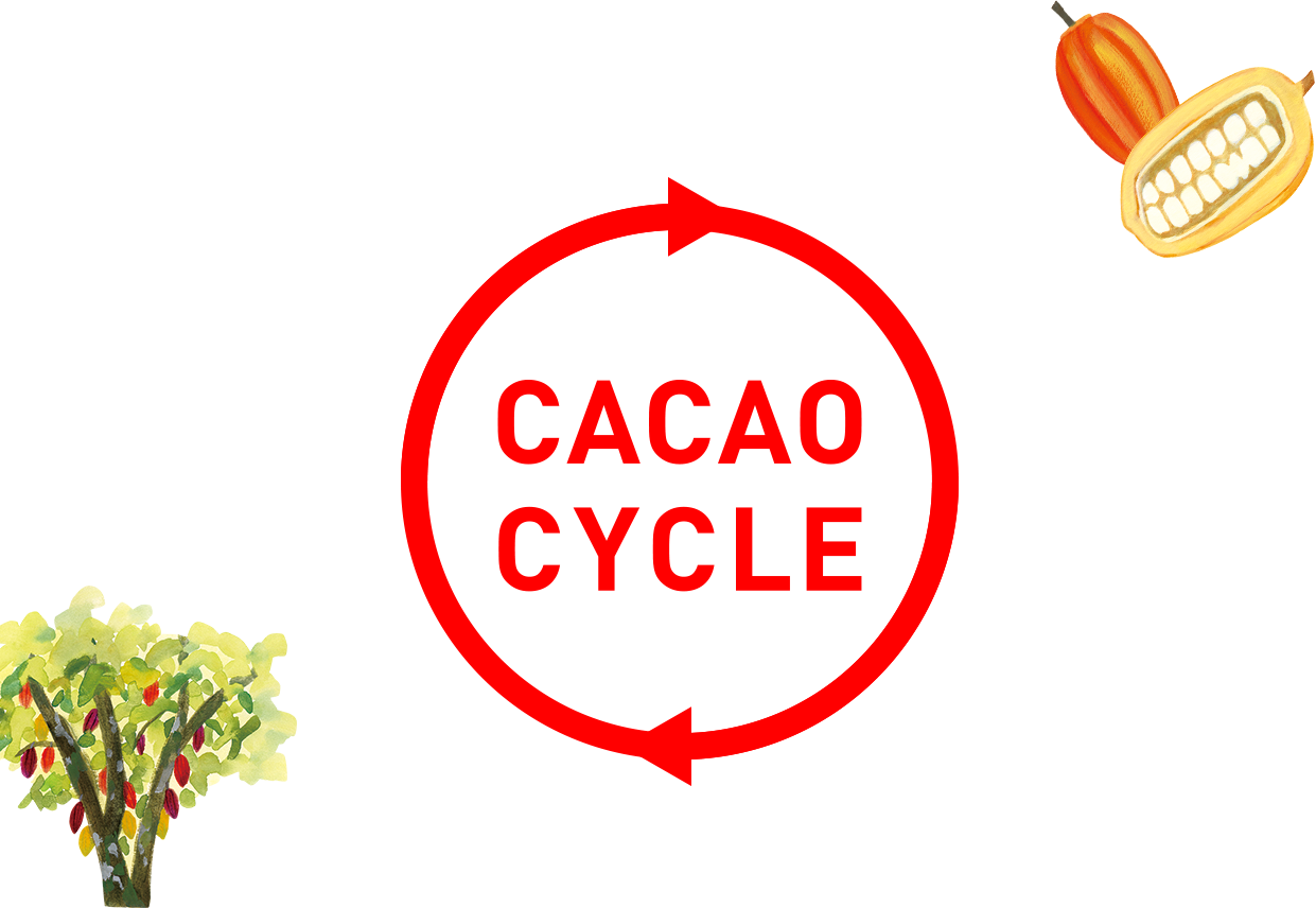 CACAO CYCLE