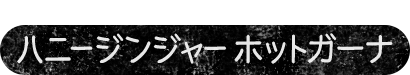 この冬イチオシ　ハニージンジャー　ホットガーナ