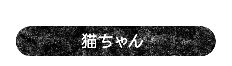 猫ちゃんでほっこり癒されよう 猫ちゃん