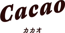 Cacao カカオ