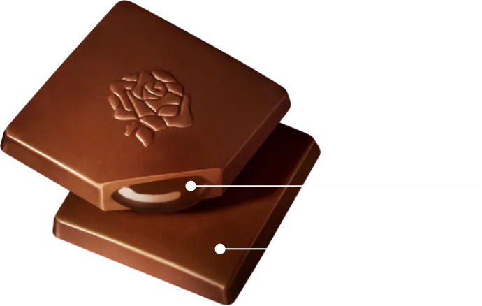 生チョコレート ガーナブラック