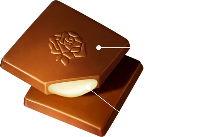 ガーナミルク 優雅に香るバニラの生チョコレート