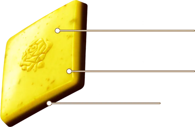 シチリア産レモン使用のレモンショコラ ほろ苦く爽やかなレモンのキャンディチップ ガーナブラック
