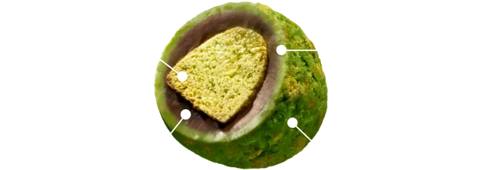 発酵バター入り抹茶サブレ ガーナミルク 宇治抹茶使用の抹茶ショコラ フィアンティーヌ