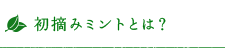 初摘みミントとは？