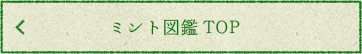 ミント図鑑