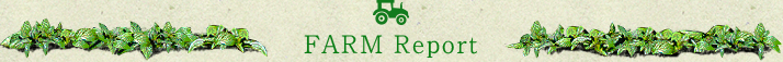 FARM Report