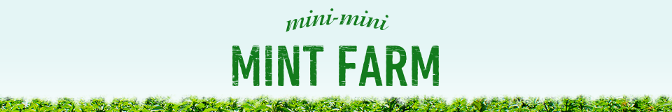 mini mini MINT FARM