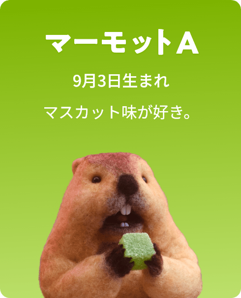 マーモットA 9月3日生まれ マスカット味が好き。