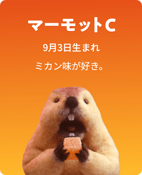 マーモットC 9月3日生まれ ミカン味が好き。