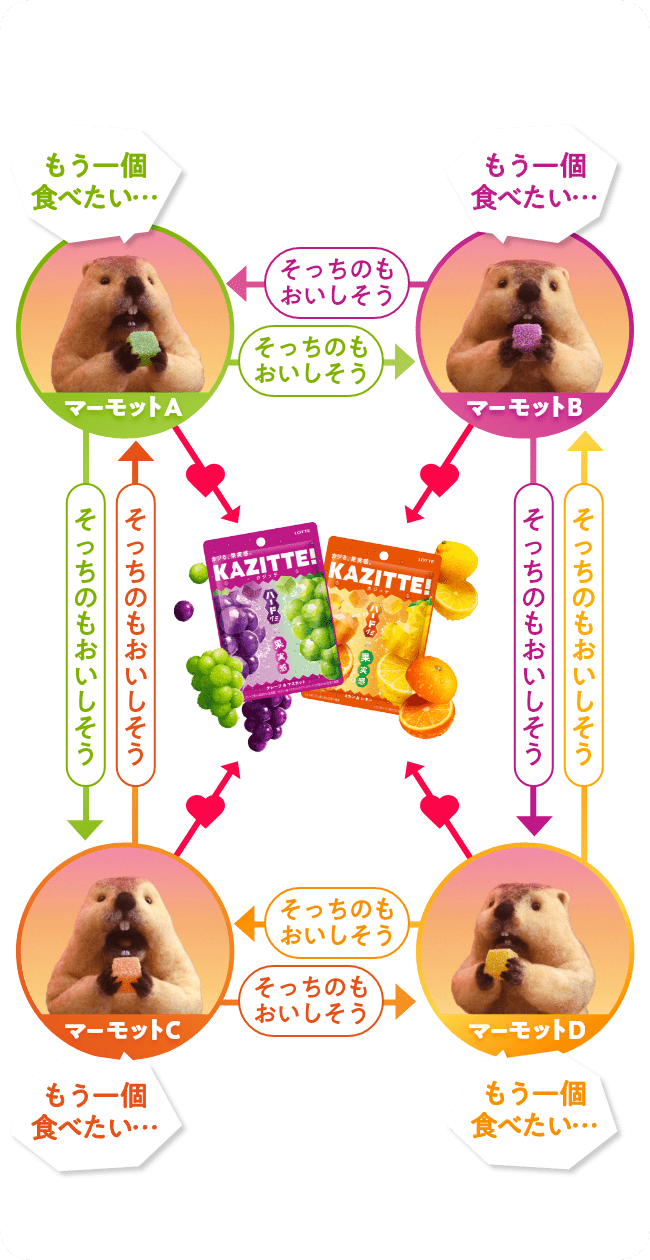 マーモット相関図